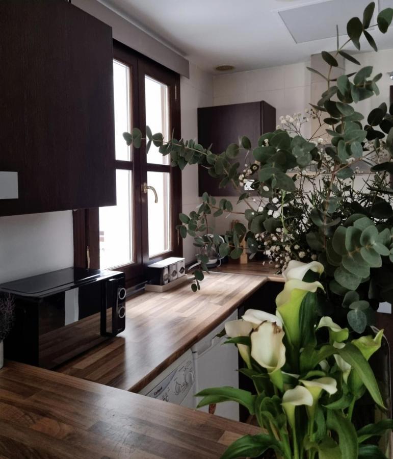 Cozy Apartment In The City Center غرناطة المظهر الخارجي الصورة