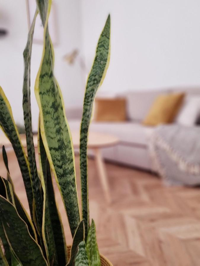 Cozy Apartment In The City Center غرناطة المظهر الخارجي الصورة