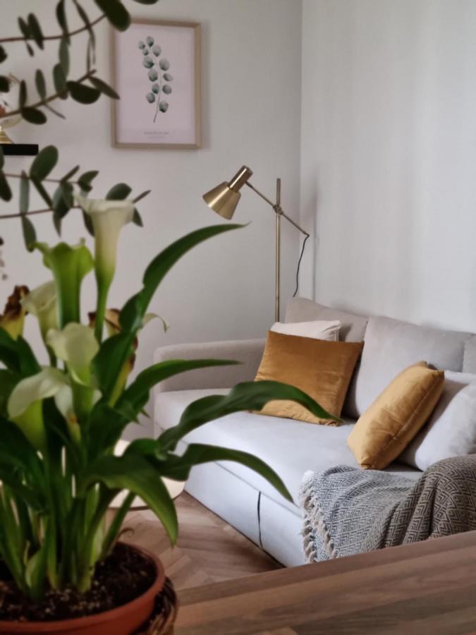Cozy Apartment In The City Center غرناطة المظهر الخارجي الصورة